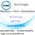 الشحن البحري ميناء شانتو الشحن إلى نيو أمستردام